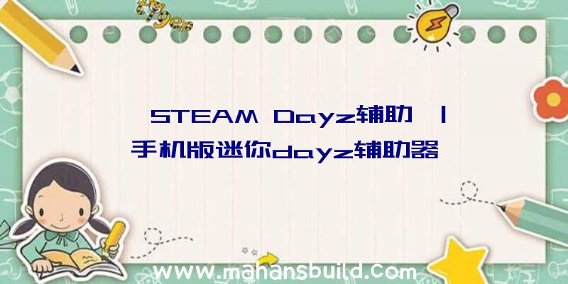 「STEAM